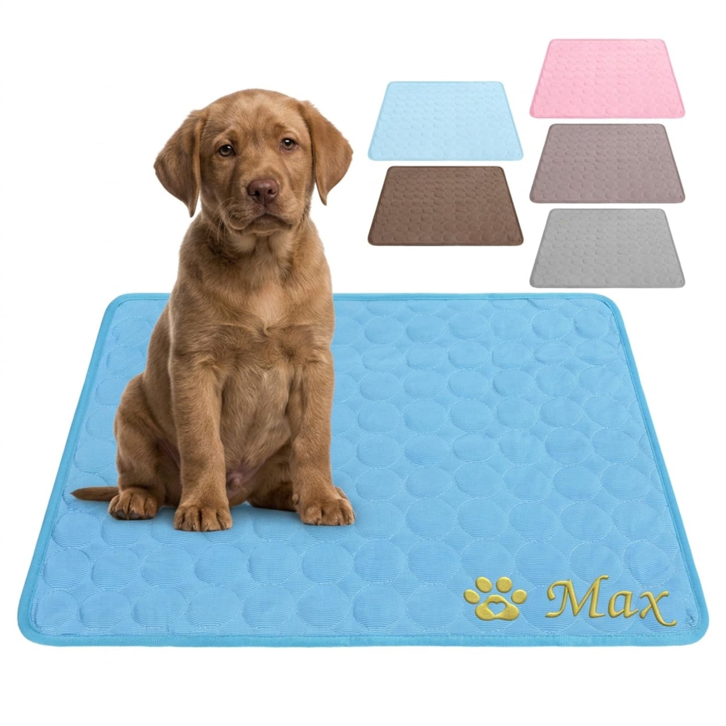 Personalized Dog Cooling Mat Custom Pet Ice Pad with Name & Photo, Washable Ice Silk Summer Cooling Blanket for Dogs Cats, Portable Self Cooling Bed Mat for Kennel Crate Sofa